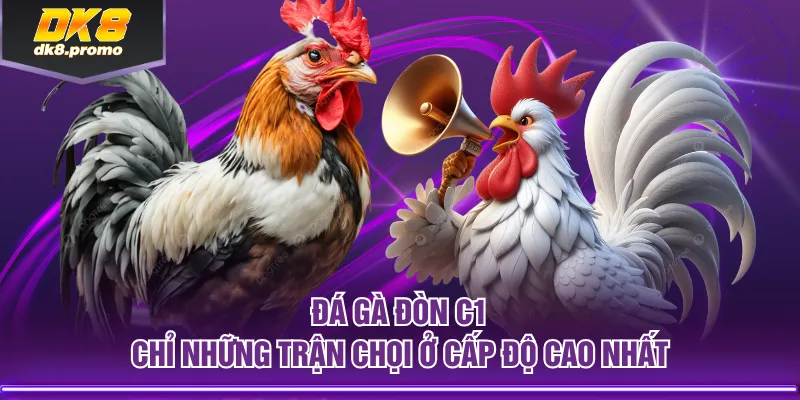 Đá gà đòn C1 chỉ những trận chọi ở cấp độ cao nhất